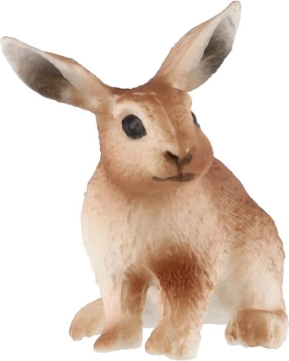 Kompaktna velikost 6 cm