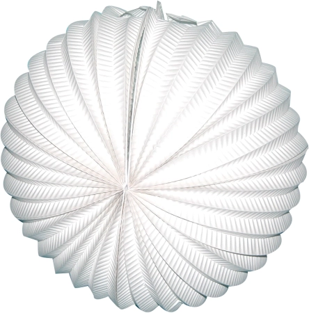 Beli okrogli lampijon 25 cm
