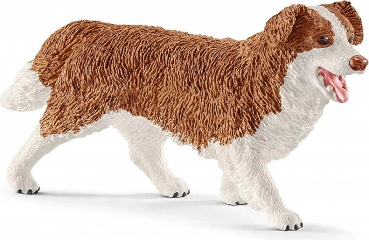 Nega ljubljenčkov s psičko Ruby