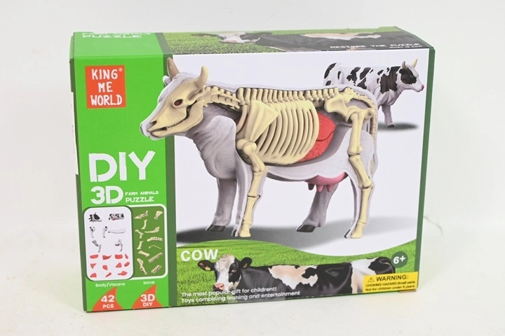 Anatomski model krave za otroke