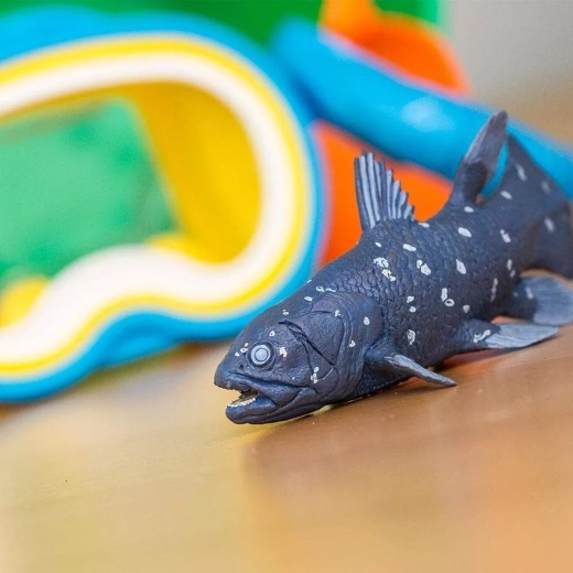 Ideal for play, learning, and collecting