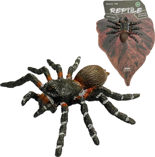 Živa narava: realistični model pajka White Knee Spider (8 cm) - 1 kos