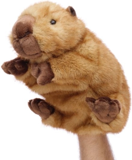 Hand puppet for acting out stories