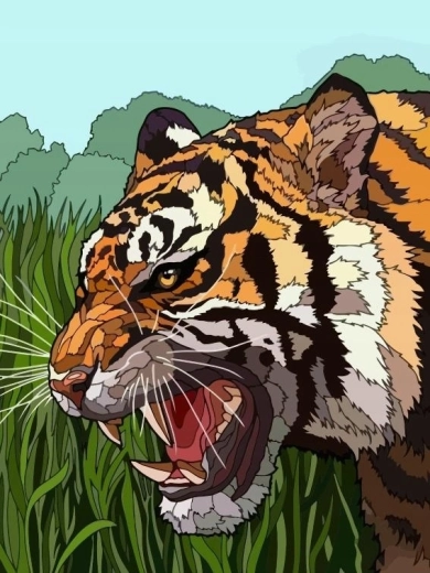 Slikanje po številkah – rjoveči tiger v travi 40 × 50 cm