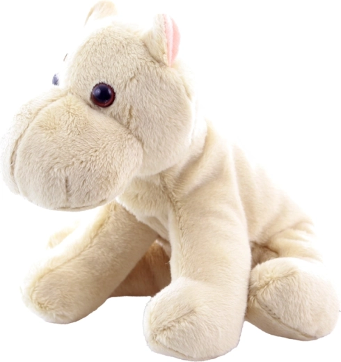 Stabilno sedenje zahvaljujoč kroglicam