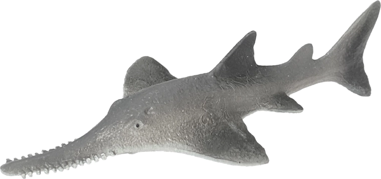 Gumena morska riba – mnogozobi žagar 14 cm