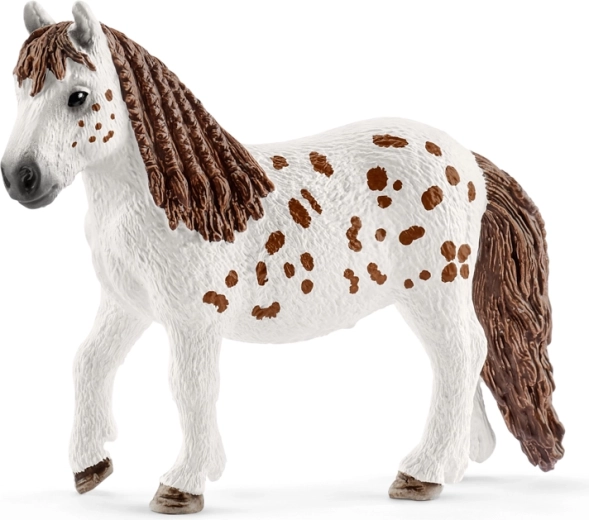 Šetlandski poni Spotty z dovršenimi detajli