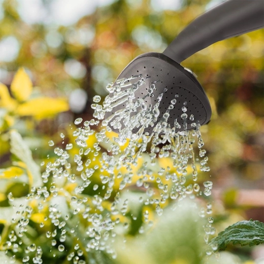 Nežno rosenje ali enakomeren curek