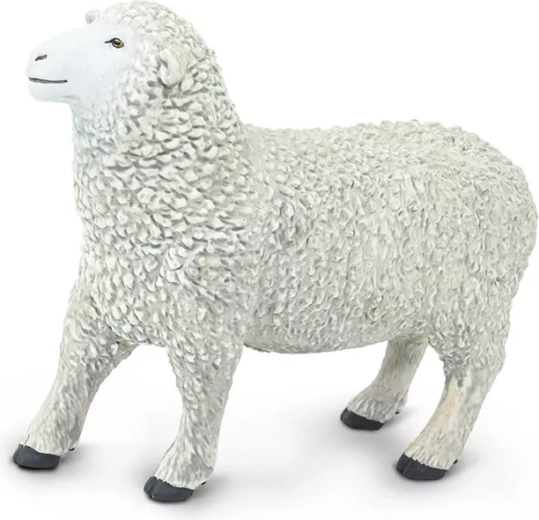 Domestic Sheep Safari Ltd. - 1 piece