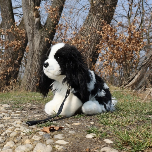 Povodec za igro in sprehod