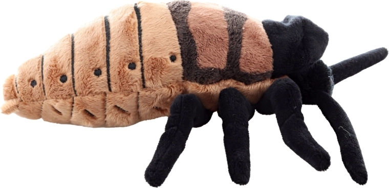 Realističen dizajn s podrobnimi detajli