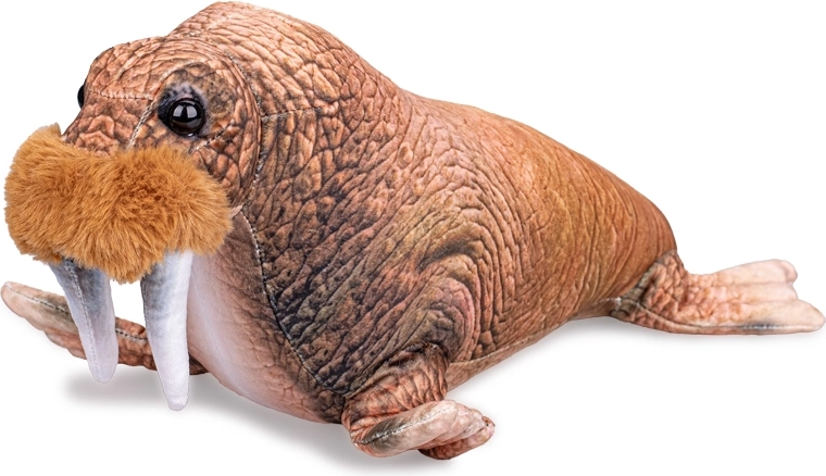 Plišasti mrož 40 cm