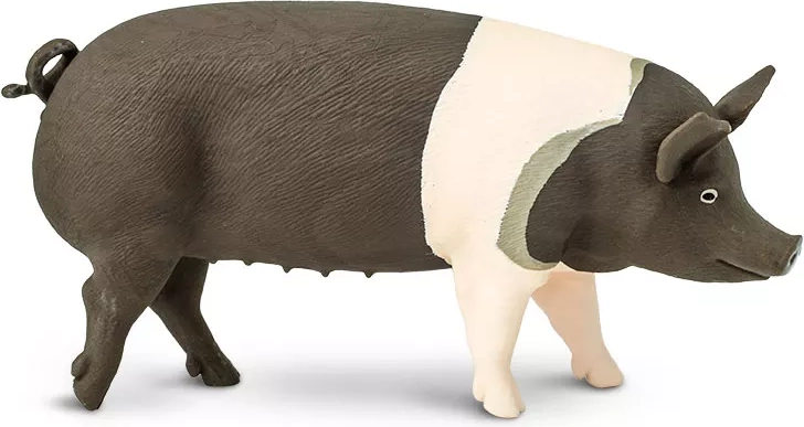 Figurica prašiča pasme Hampshire Safari Ltd. - 1 kos