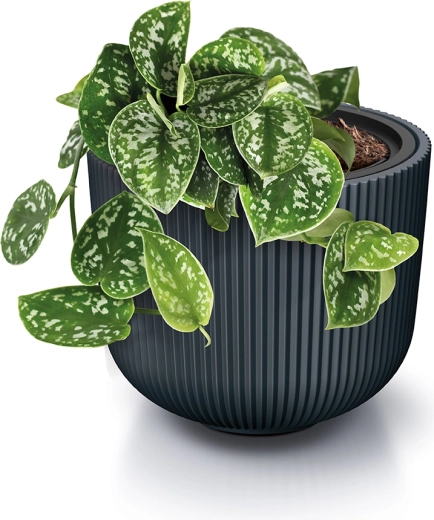 Vložek za enostavno sajenje in boljšo nego