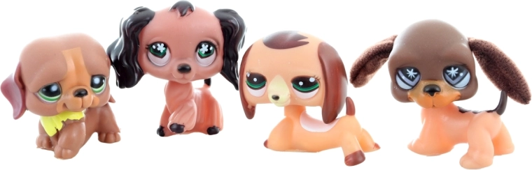 Prisrčna živalica pripravljena na nego