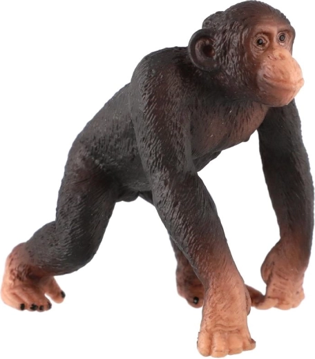 Kompaktna velikost 8 cm