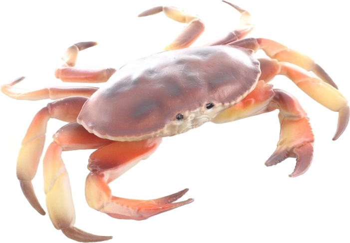 Varen in trpežen material