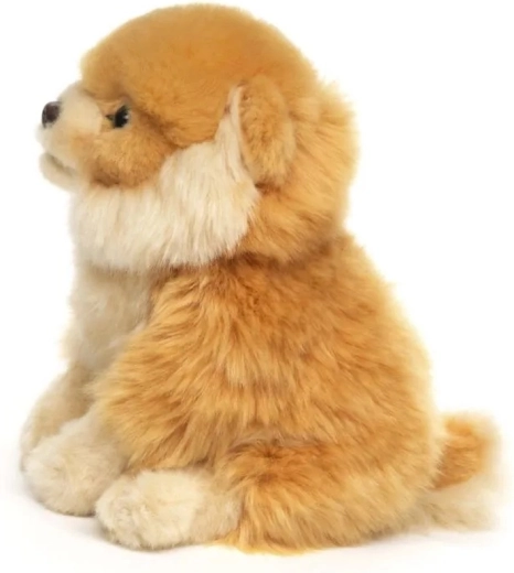 Sitting design of the dog