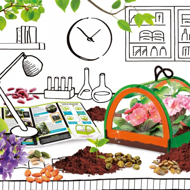 Zgradite svoj mini rastlinjak