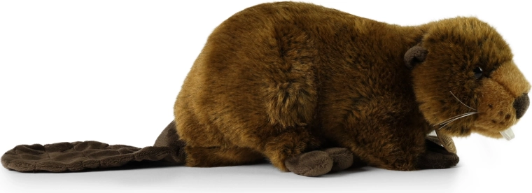 Varno in primerno že od rojstva