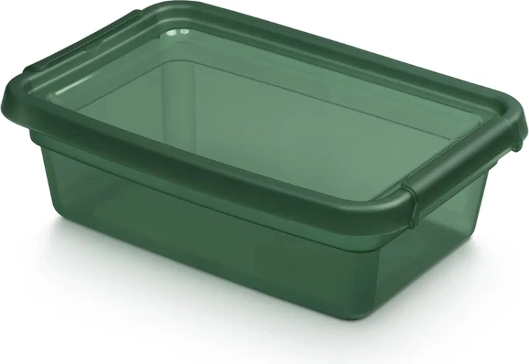 BASESTORE shranjevalna plastična škatla s pokrovom in sponkami 3 l PINE