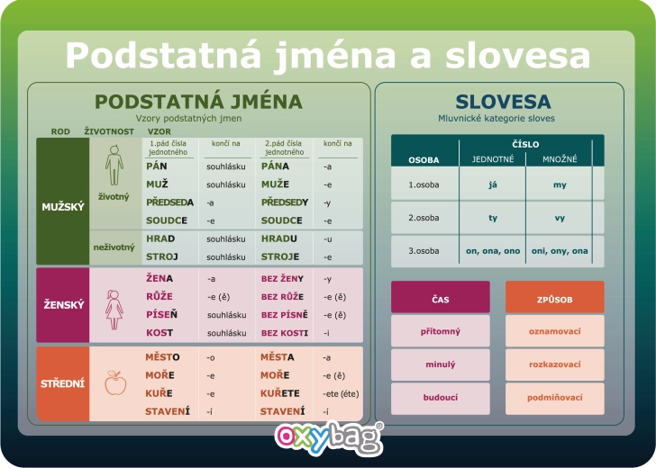 Educational Card A4 – Nouns and Verbs