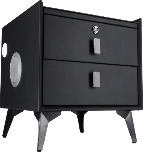 Fingerprint lock for secure storage