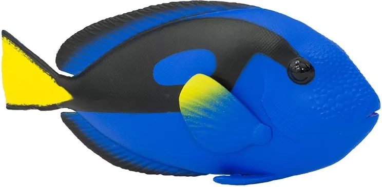 Realistic colors and details of the surgeonfish