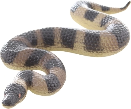 Kompaktne mere za male raziskovalce