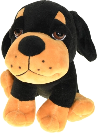 Več barvnih različic