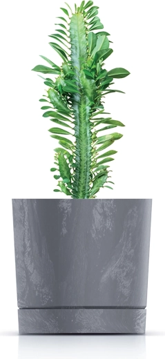 Idealno za sukulente, zelišča in manjše rastline