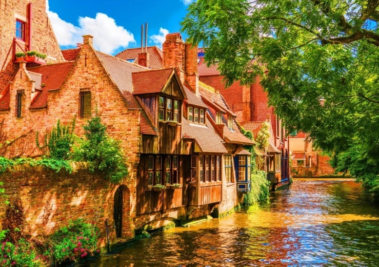 Sestavljanka Bruggy 1500 kosov BLUEBIRD