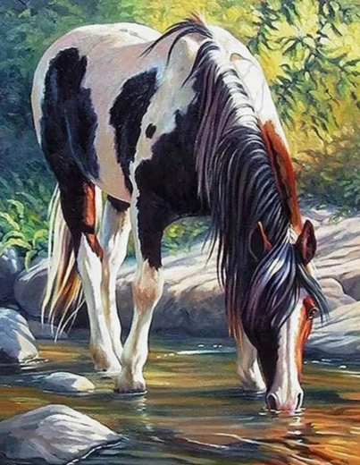 Slikanje po številkah – konj ob reki 40 × 50 cm