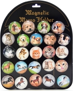 Set magnetov s psi, mačkami in konji, 24 kosov