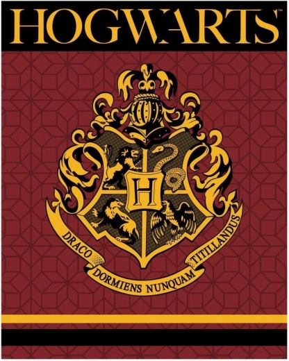 Flis odeja Harry Potter XL