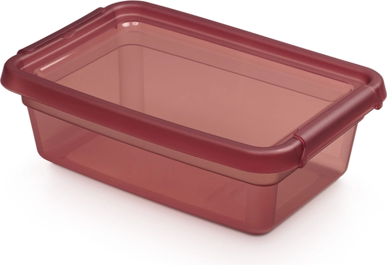 Basestore shranjevalna škatla s pokrovom in sponkami 3 l, 19 × 28 × 9 cm, rabarbara