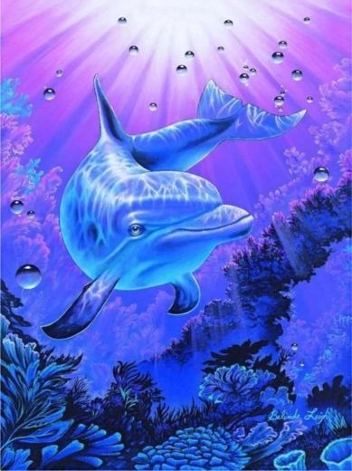 Norimpex slikanje po številkah Delfin 40 × 50 cm