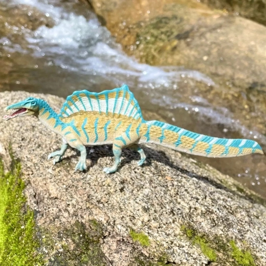 Great for play, learning, and collecting