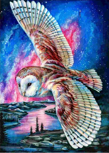 Norimpex diamond painting Flying Owl 30 × 40 cm
