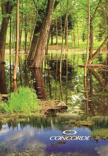 Zapisovalna knjiga A4 s črtami 8 mm, 200 listov