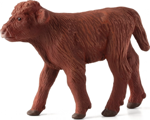 Figura škotskega višavskega teleta