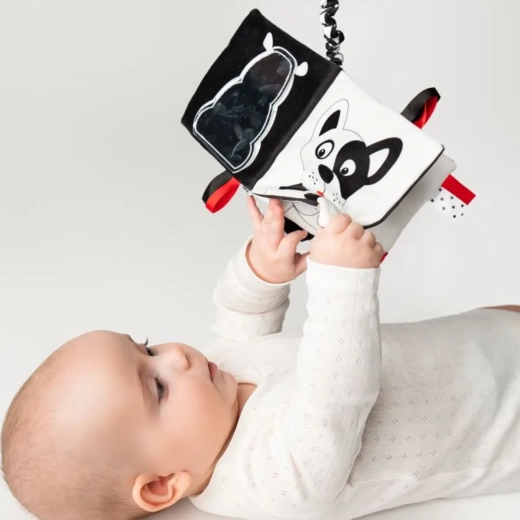 Enostavna pritrditev na voziček in povsod s seboj