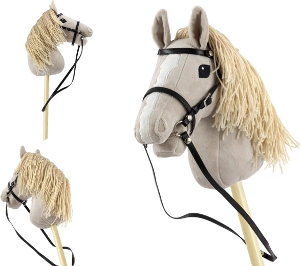 Vajeti za enostavno vodenje