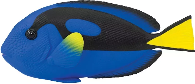 Safari Ltd. colorful surgeonfish figurine - 1 piece