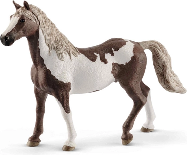 Schleich konj
