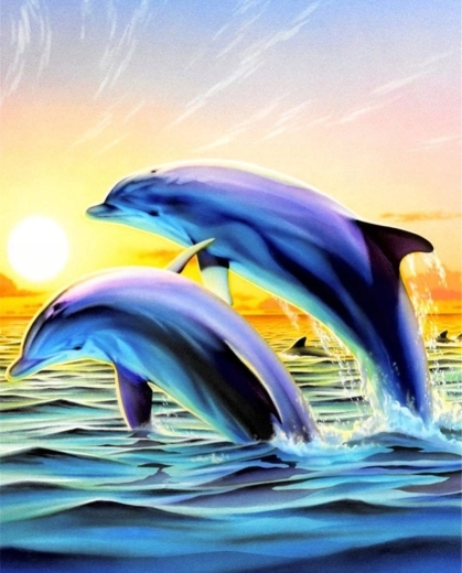 Norimpex Slikanje po številkah Skakajoči delfini 40 × 50 cm