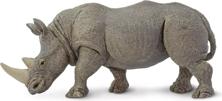 White Rhinoceros Safari Ltd.