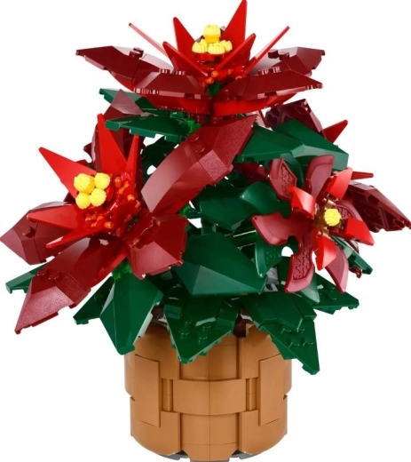 Detajlna poinsettia Grande Italia v pletenem cvetličnem lončku