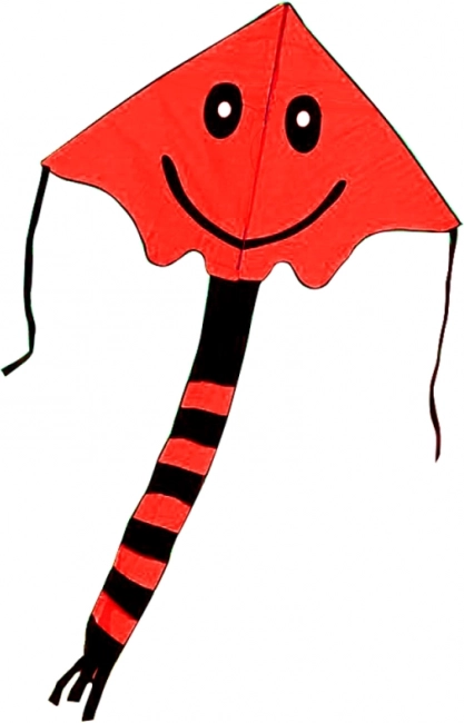 Leteči zmaj z nasmehom 80 × 60 cm