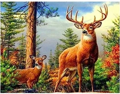 Norimpex diamantno slikanje jelen v gorah 30 × 40 cm